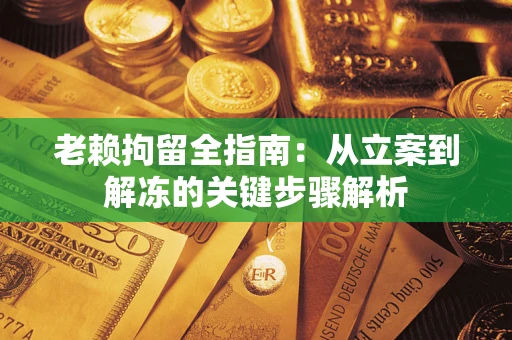 武汉老赖拘留全指南：从立案到解冻的关键步骤解析