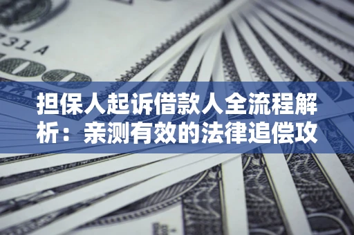 武汉担保人起诉借款人全流程解析：亲测有效的法律追偿攻略