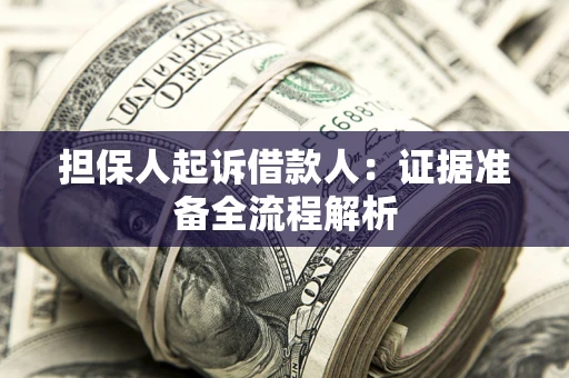 武汉担保人起诉借款人：证据准备全流程解析