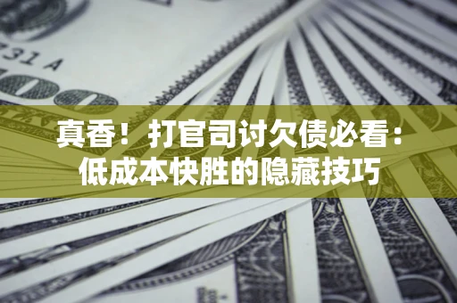 武汉真香！打官司讨欠债必看：低成本快胜的隐藏技巧