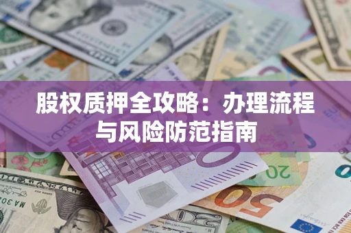 武汉股权质押全攻略：办理流程与风险防范指南