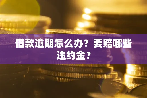 武汉借款逾期怎么办？要赔哪些违约金？