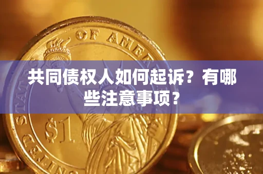 武汉共同债权人如何起诉？有哪些注意事项？