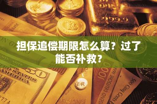 武汉担保追偿期限怎么算？过了能否补救？